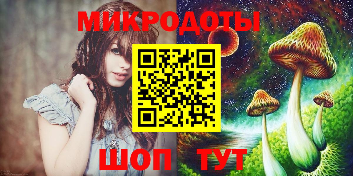 Псилоцибиновые грибы Cubensis Владимир