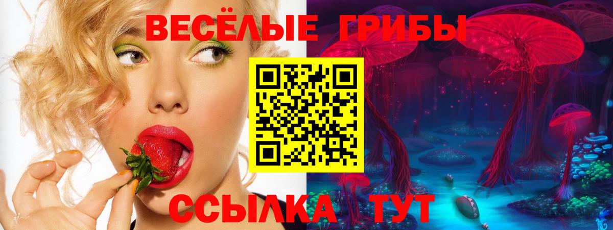 дарнет шоп  Псилоцибиновые грибы мицелий  Вход с VPN  Псилоцибиновые грибы Psilocybe  Владимир 